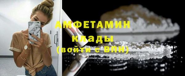 молекула духа Михайловск