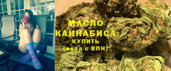 молекула духа Михайловск