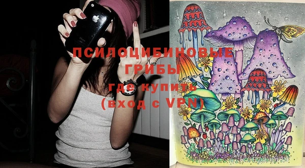 молекула духа Михайловск