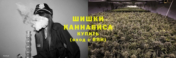 молекула духа Михайловск