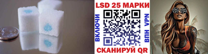 МЕГА ссылки  Фокино  Лсд 25 экстази кислота 
